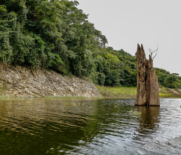 Agua, lo que conviene saber de los embalses - El Faro - Canal de Panamá