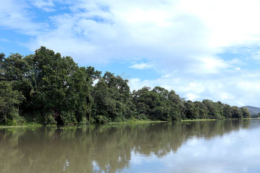 Océanos, las políticas a favor de su protección - El Faro - Canal de Panamá