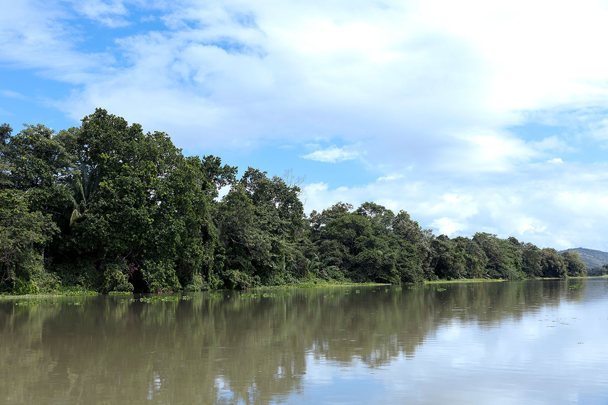 Océanos, las políticas a favor de su protección - Canal de Panamá - El Faro