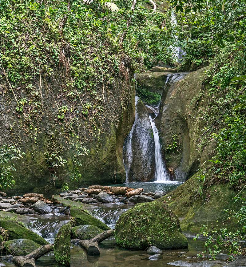 Serie de documentales - Donde nace el agua - Canal de Panamá