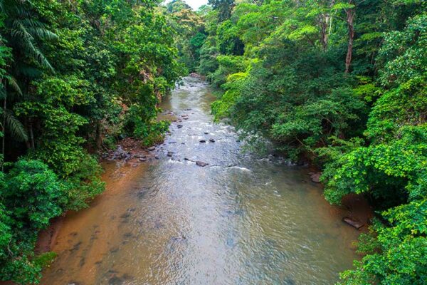 Serie de documentales - Donde nace el agua - Canal de Panamá