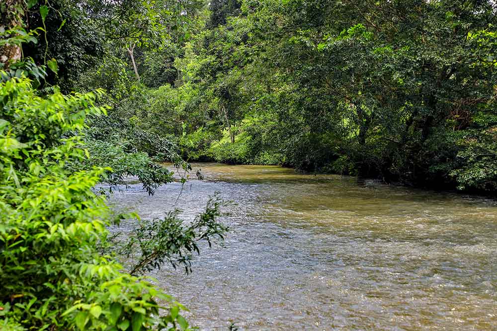 En el Alma de la Cuenca - Revista El Faro - Canal de Panamá