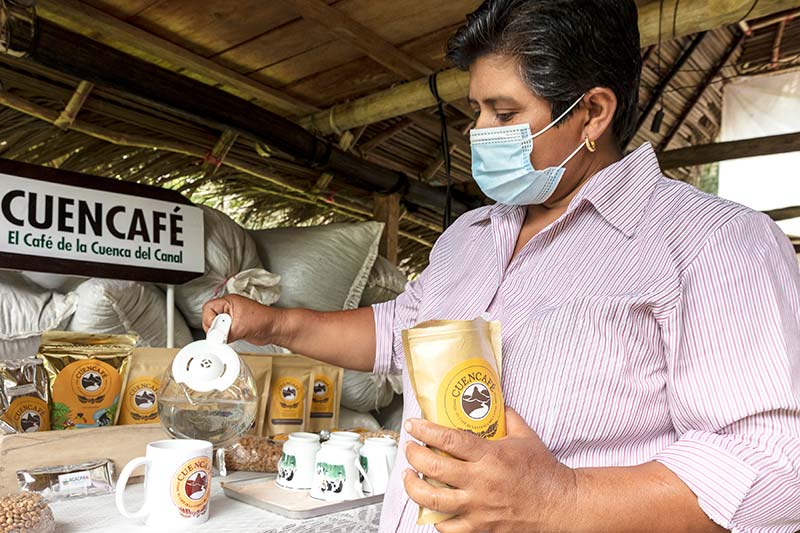 La Asociación de Caficultores de la subcuenca de los ríos Cirí Grande y Trinidad conserva, promueve y reforesta la vegetación en la cuenca canalera por medio del cultivo de café robusta