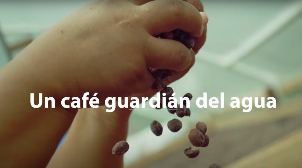 Cuencafé - Revista El Faro - Canal de Panamá