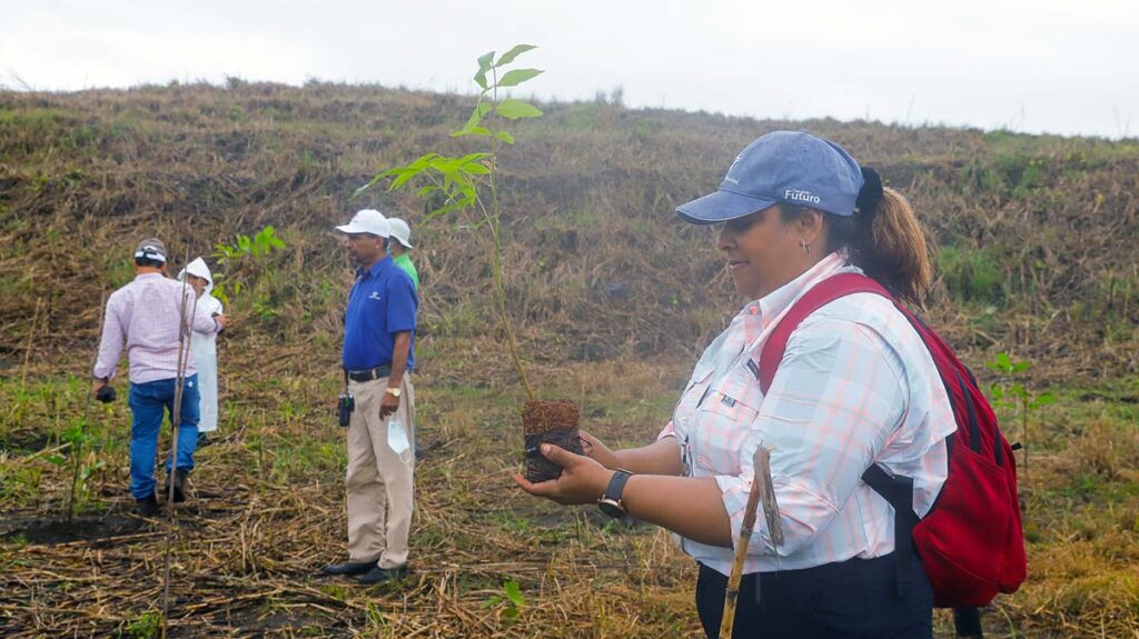 un grupo de canaleros reforestó la primera de las 60 hectáreas que se restaurarán en el sector de Cocolí, en el lado oeste la vía interoceánica