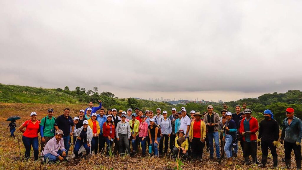un grupo de canaleros reforestó la primera de las 60 hectáreas que se restaurarán en el sector de Cocolí, en el lado oeste la vía interoceánica