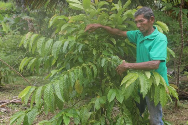 Premian al Mejor Productor de Agricultura Familiar 2022 - Canal de Panamá