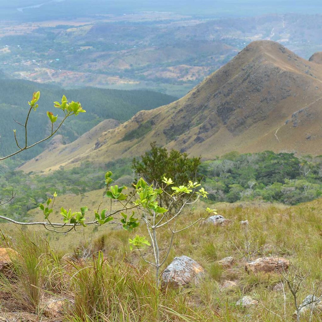 Variabilidad climática en la región central de Panamá