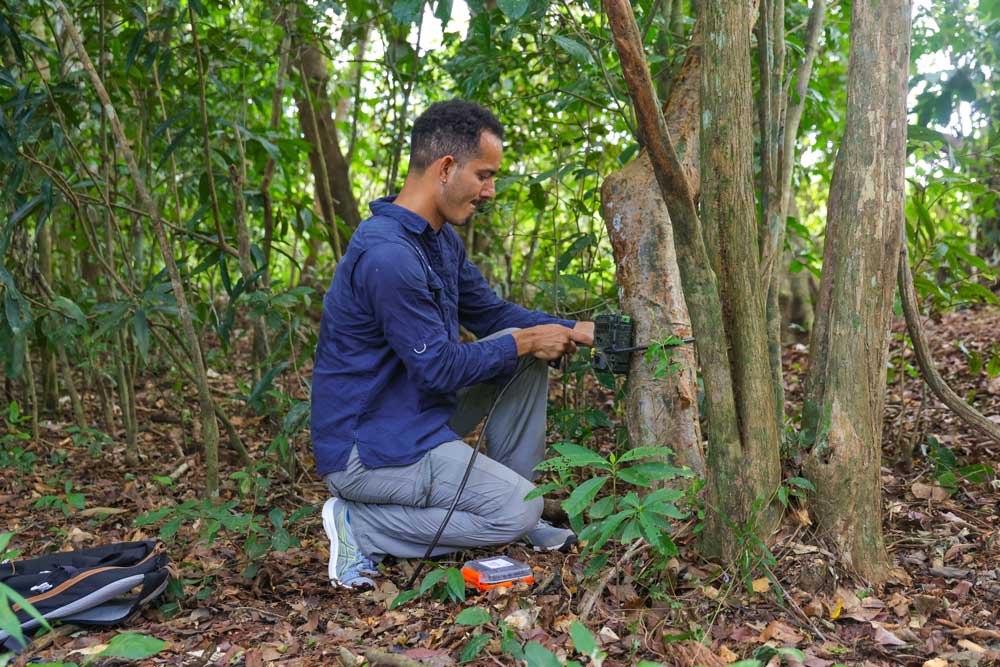 Claudio Manuel Monteza, biólogo del Instituto Smithsonian de Investigaciones Tropicales